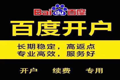 SEM投放策略优化案例分析