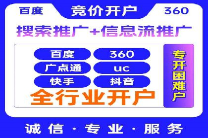 行业领先SEM托管代运营案例